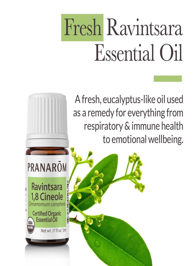 Pranarom - Ravintsara ct 1,8 cineole Essential Oil - Organic - for Health Enthusiasts - Diffusing for Relaxation Therapy - Steam-Distilled, Non-GMO - 100% Pure, Certified Organic - Image 2